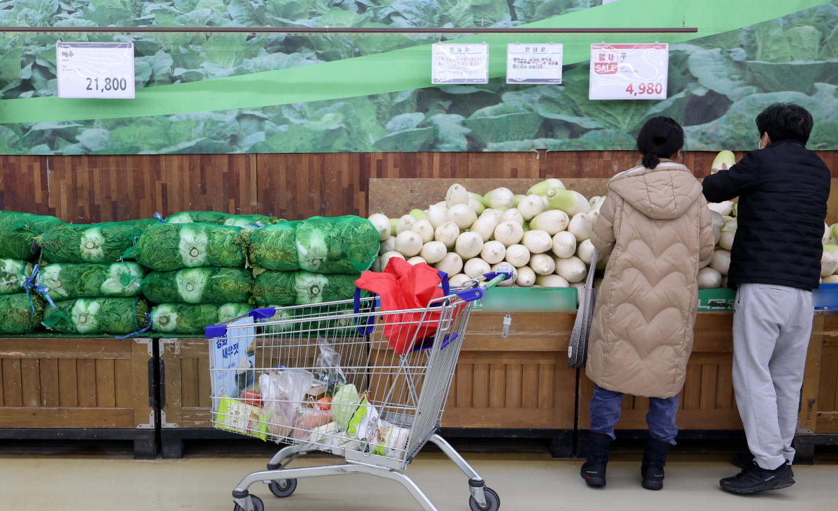 ▲배추와 무 가격이 1년 전보다 1.5배 이상 오르며 소비자 부담을 가중시키는 등 설을 앞두고 일부 농산물 가격이 상승세를 보이고 있다. 정부는 이르면 이번주 물가 관리 대책을 발표한다는 방침이다. 5일 한국농수산식품유통공사(aT)에 따르면 배추 평균 소매가격은 3일 기준 한 포기에 5027원으로 1년 전과 비교해 58.9% 올랐다. 무는 한 개에 3206원으로 1년 전보다 77.4% 비쌌다. 배추와 무 가격 상승은 기후변화 영향에 따른 것으로 지난해 여름철 폭염에다 추석 이후까지 늦더위가 이어지면서 농산물 생육이 부진했다. 설 성수품인 배 가격도 공급량 부족으로 강세다. 배(신고) 평균 소매가격은 10개에 4만1955원으로 1년 전보다 24.6% 상승했다. 이날 서울의 한 대형마트에서 시민들이 장을 보고 있다. 신태현 기자 holjjak@