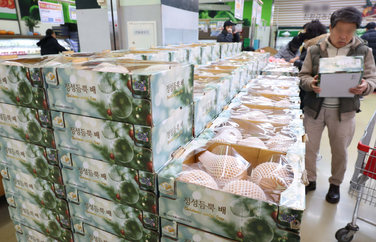 ▲배추와 무 가격이 1년 전보다 1.5배 이상 오르며 소비자 부담을 가중시키는 등 설을 앞두고 일부 농산물 가격이 상승세를 보이고 있다. 정부는 이르면 이번주 물가 관리 대책을 발표한다는 방침이다. 5일 한국농수산식품유통공사(aT)에 따르면 배추 평균 소매가격은 3일 기준 한 포기에 5027원으로 1년 전과 비교해 58.9% 올랐다. 무는 한 개에 3206원으로 1년 전보다 77.4% 비쌌다. 배추와 무 가격 상승은 기후변화 영향에 따른 것으로 지난해 여름철 폭염에다 추석 이후까지 늦더위가 이어지면서 농산물 생육이 부진했다. 설 성수품인 배 가격도 공급량 부족으로 강세다. 배(신고) 평균 소매가격은 10개에 4만1955원으로 1년 전보다 24.6% 상승했다. 이날 서울의 한 대형마트에서 시민들이 장을 보고 있다. 신태현 기자 holjjak@