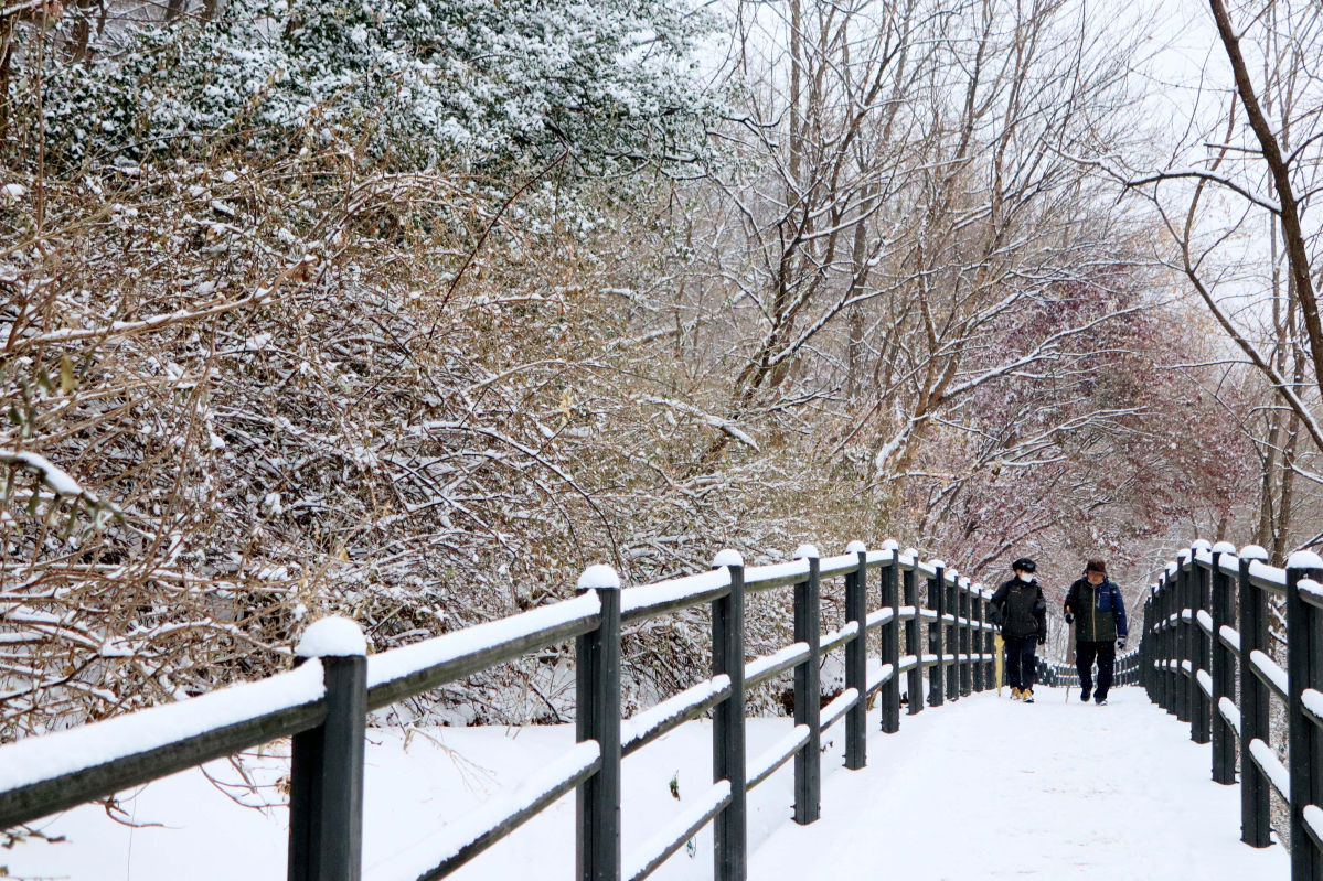 ▲절기상 소한(小寒)이자 서울을 비롯한 중부지방에 많은 눈이 내린 5일 서울 서대문구 안산에 눈이 쌓여있다. 신태현 기자 holjjak@