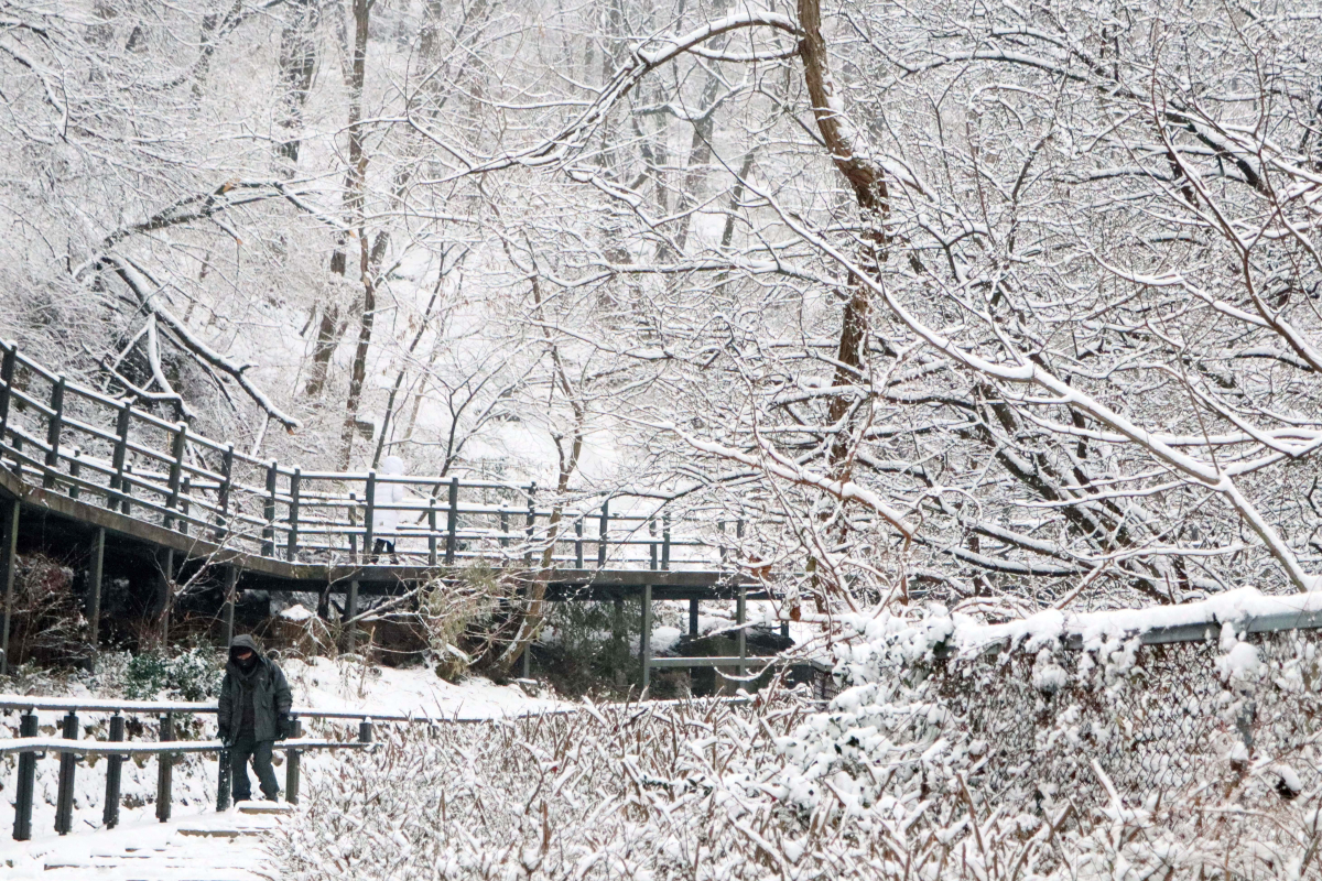 ▲절기상 소한(小寒)이자 서울을 비롯한 중부지방에 많은 눈이 내린 5일 서울 서대문구 안산에 눈이 쌓여있다. 신태현 기자 holjjak@