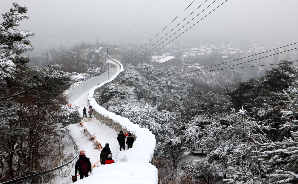 (신태현 기자 holjjak@)