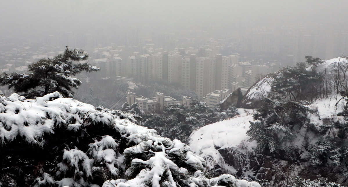 (신태현 기자 holjjak@)