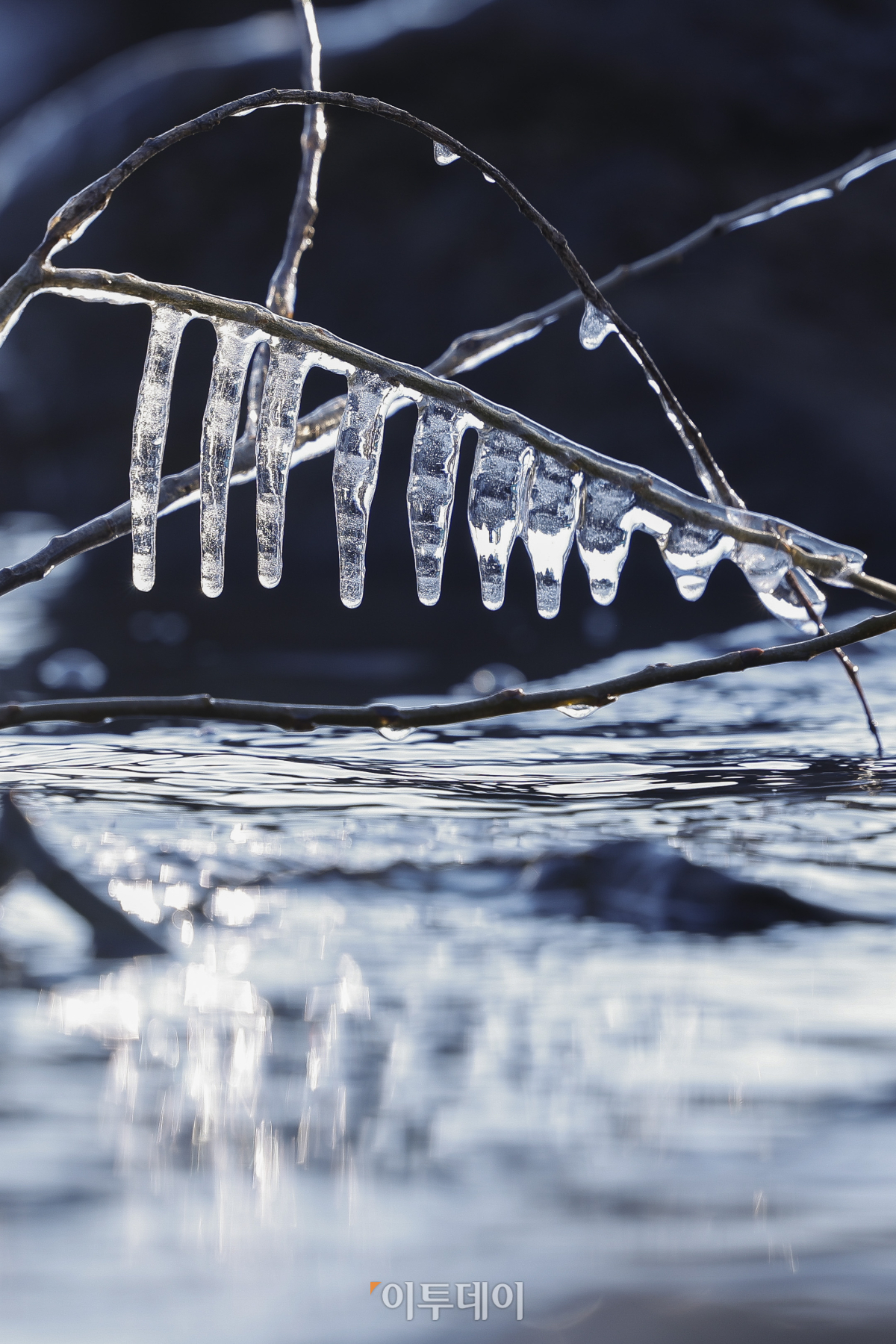 ▲서울 아침 최저기온이 영하 5도까지 떨어지는 등 강추위가 찾아온 7일 서울 영등포구 여의도한강공원에 고드름이 얼어있다. 이날 기상청은 전국 대부분 지역이 전날보다 5~10도가량 크게 떨어져 춥고 빙판길과 도로 살얼음이 나타나는 곳이 많아 유의할 것이라고 예보했다. 조현호 기자 hyunho@