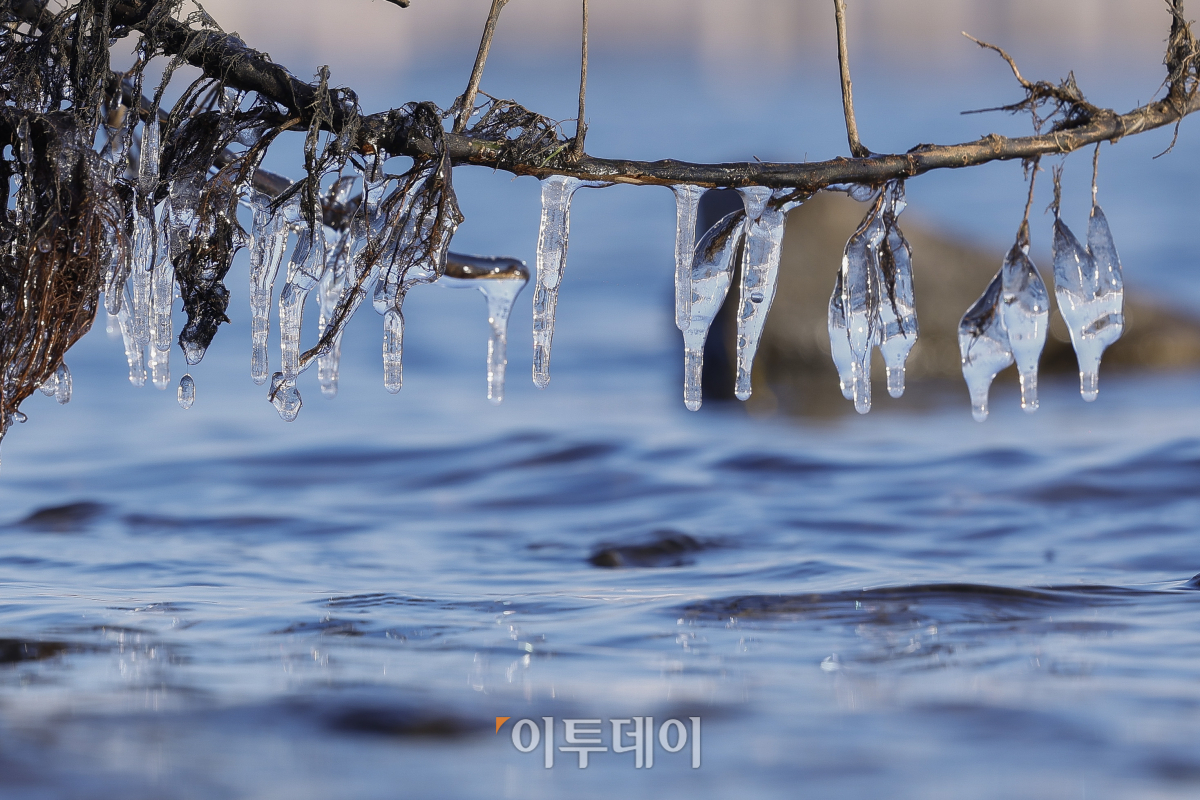 ▲서울 아침 최저기온이 영하 5도까지 떨어지는 등 강추위가 찾아온 7일 서울 영등포구 여의도한강공원에 고드름이 얼어있다. 이날 기상청은 전국 대부분 지역이 전날보다 5~10도 가량 크게 떨어져 춥고 빙판길과 도로 살얼음이 나타나는 곳이 많아 유의할 것이라고 예보했다. 조현호 기자 hyunho@