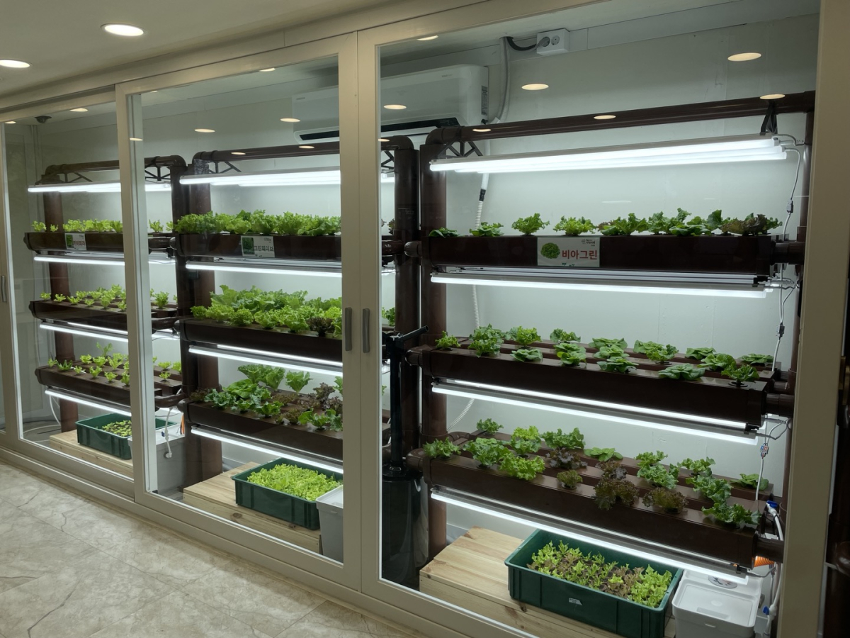 ▲도봉구 초록기억카페에서 재배 중인 식물들. (이민재 기자 2mj)