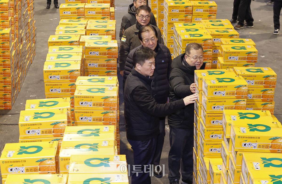 ▲박범수 농림축산식품부 차관이 10일 농산물 수급상황 현장점검을 위해 서울 송파구 가락동 농수산물도매시장 과일 경매장을 찾아 과일 수급 점검을 하고 있다. 조현호 기자 hyunho@