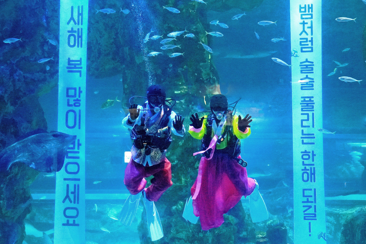 ▲롯데월드 아쿠아리움에서 새해 인사 나누는 아쿠아리스트. (사진제공=롯데월드)