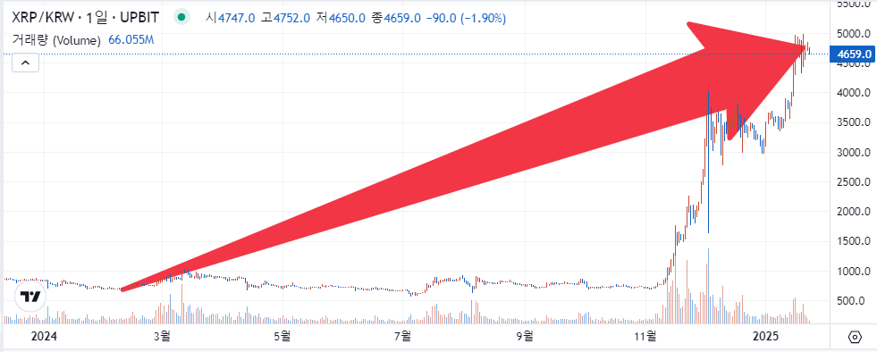 ▲리플(XRP)은 지난해 설 당일(2월 10일) 708원에서 올해 1월 20일 기준 4656원까지 뛰어올랐다. (출처=업비트)