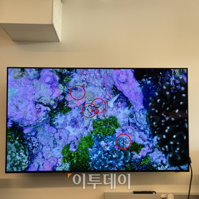 ▲'갤럭시 S24 울트라' 오션모드로 만든 3차원 산호초 지도 (박민웅 기자 pmw7001@)