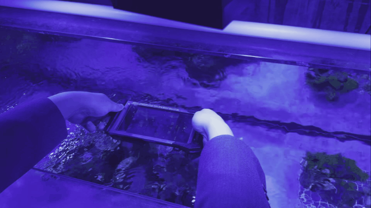 ▲기자가 갤럭시 S24 울트라 오션모드로 수중촬영을 하고 있다. (박민웅 기자 pmw7001@)