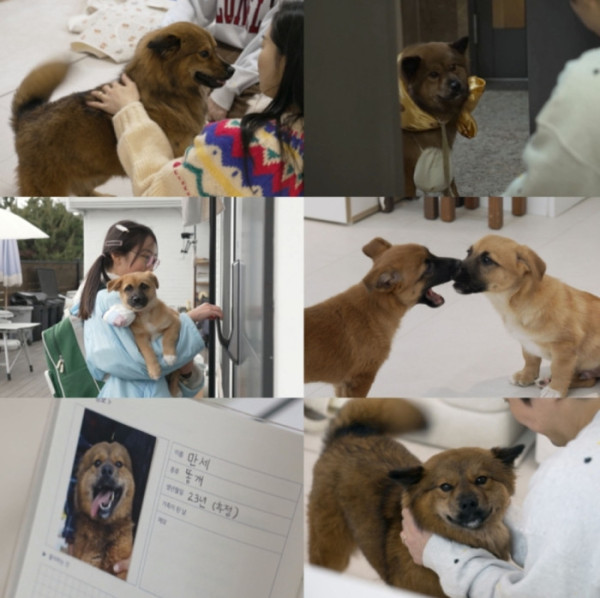▲'너희가 똥개를 아느냐!'(사진 = SBS 제공)