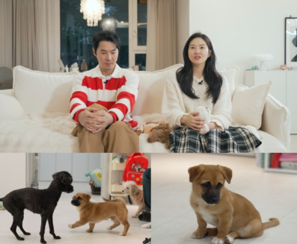 ▲'너희가 똥개를 아느냐!'(사진 = SBS 제공)