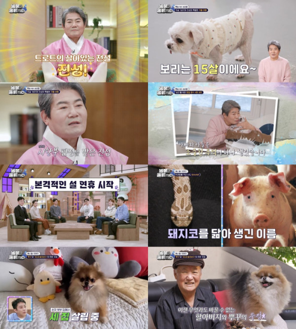 ▲'동물은 훌륭하다' 진성(사진제공=KBS2)