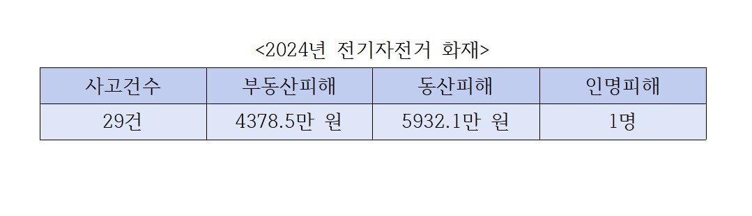 (출처=소방청 국가화재정보시스템)