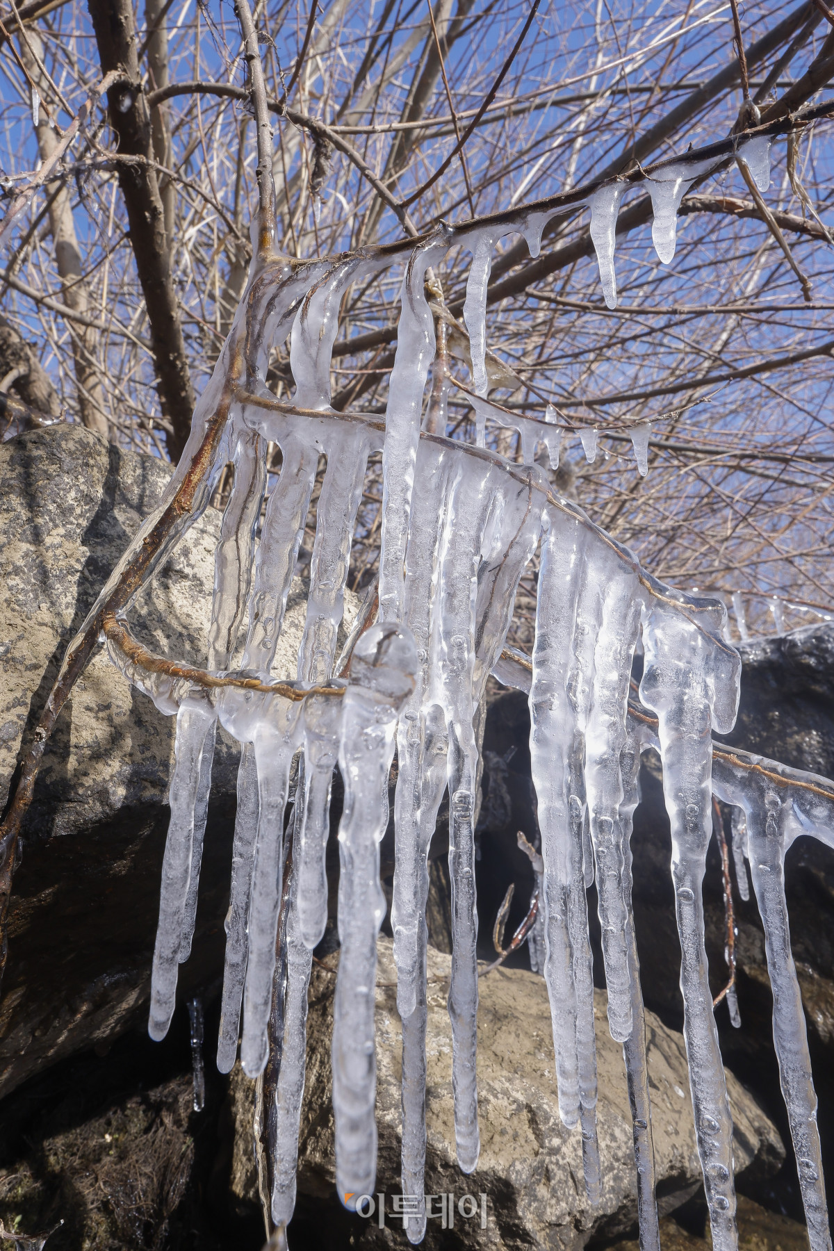▲서울에 올해 첫 한파경보가 발효된 4일 서울 용산구 이촌한강공원 강변에 얼음이 얼어 있다. 조현호 기자 hyunho@