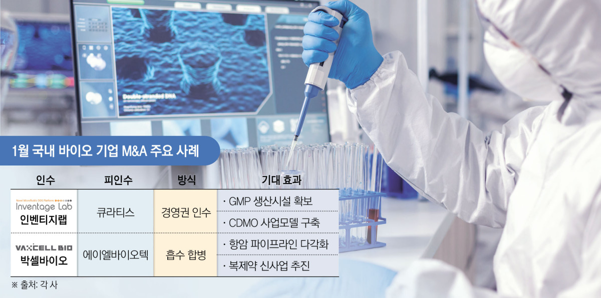 (그래픽=김소영 기자 sue@)