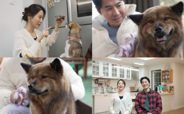 ▲'너희가 똥개를 아느냐'(사진제공=SBS )