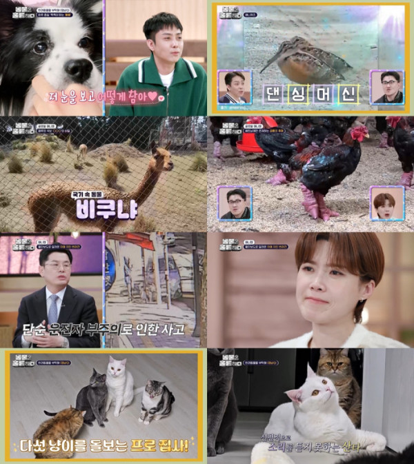 ▲'동물은 훌륭하다'(사진 = KBS2 제공)