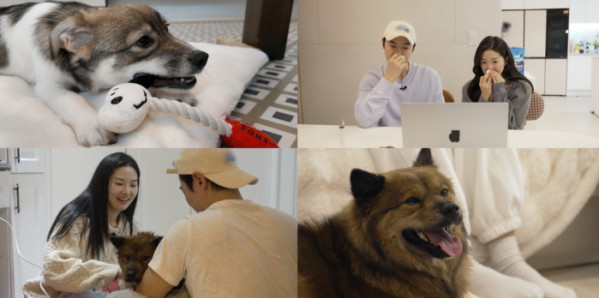 ▲'너희가 똥개를 아느냐' (사진제공=SBS )