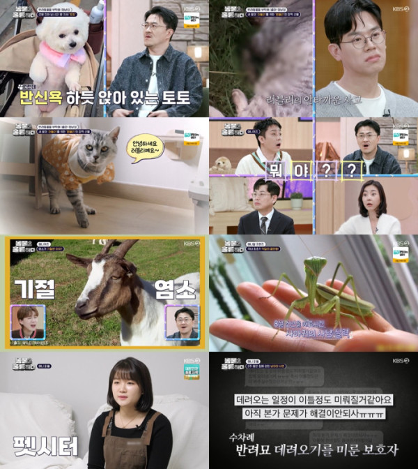▲'동물은 훌륭하다'(사진제공=KBS 2TV)