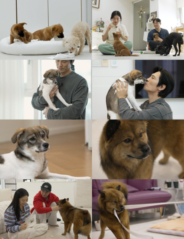 ▲'너희가 똥개를 아느냐'(사진제공=SBS )