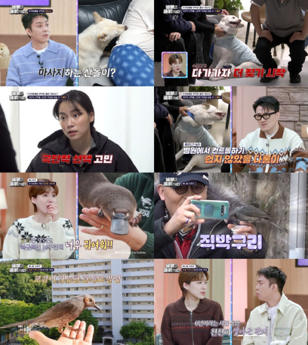 ▲'동물은 훌륭하다'(사진 = KBS2 제공)