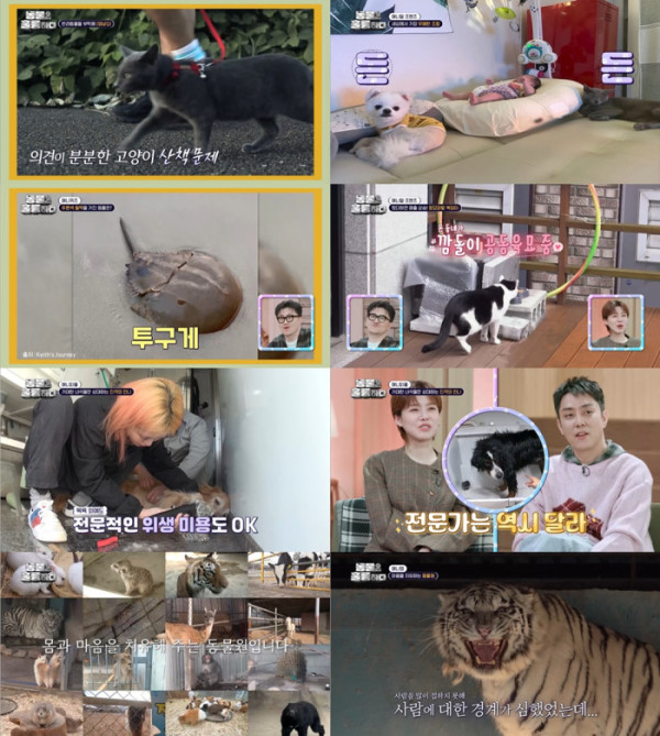 ▲'동물은 훌륭하다'(사진제공=KBS2)