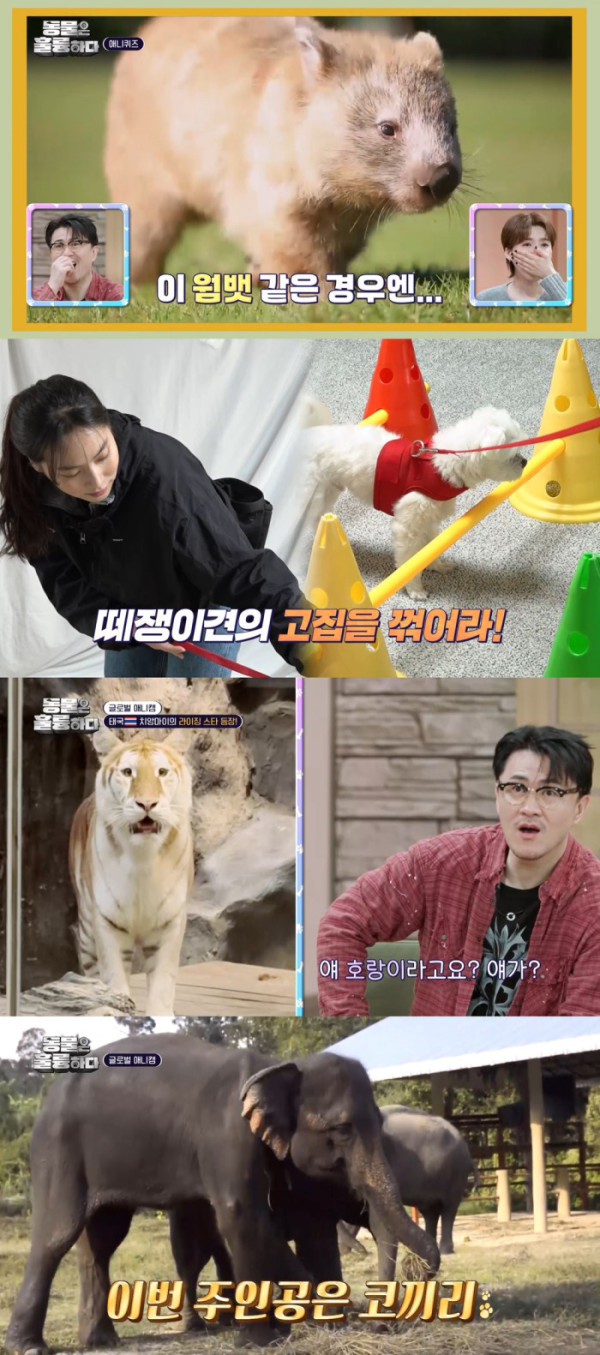 ▲'동물은 훌륭하다' (사진제공=KBS 2TV)