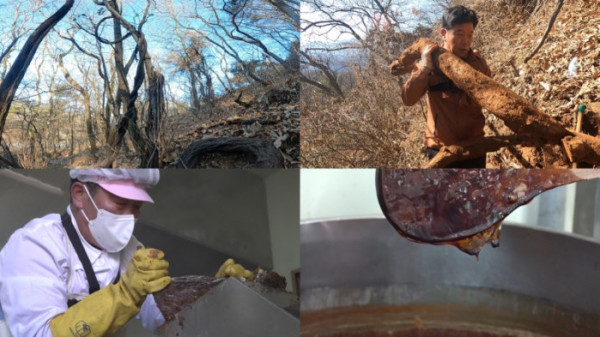 ▲'극한직업'(사진제공=EBS1 )