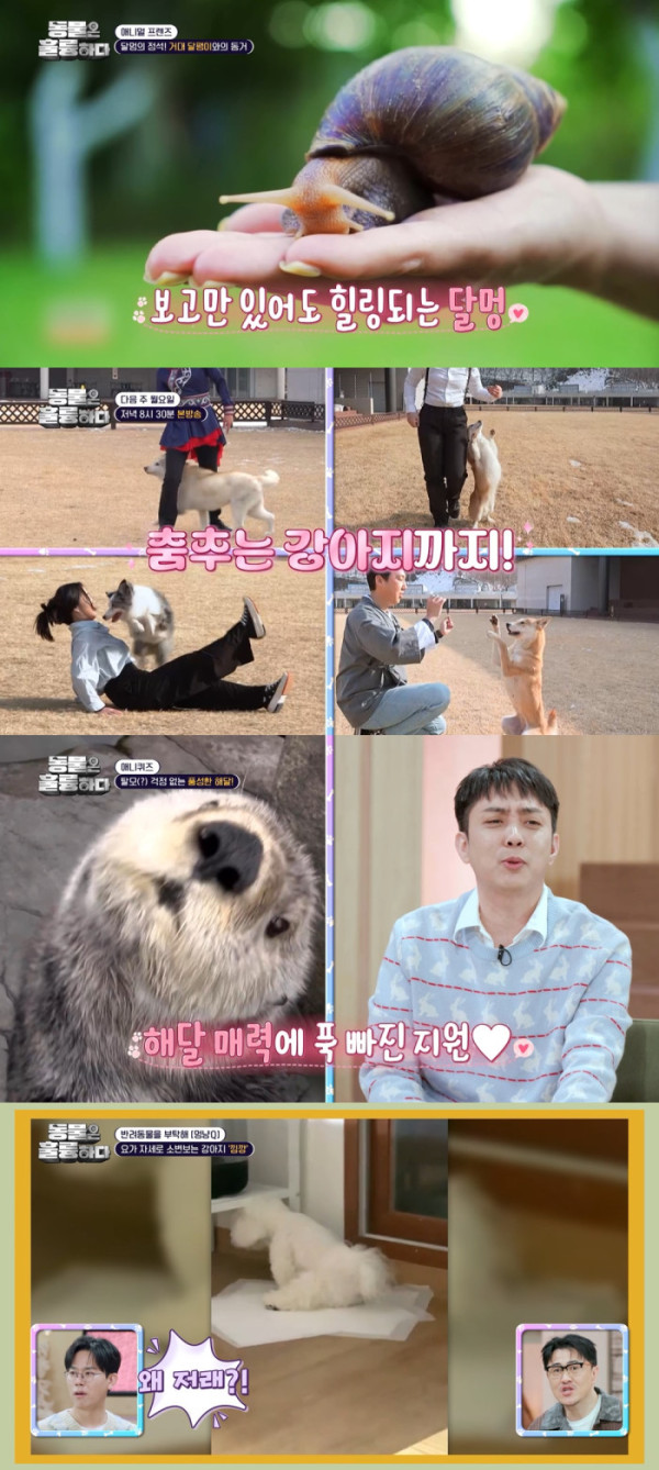 ▲'동물은 훌륭하다' (사진제공=KBS 2TV)