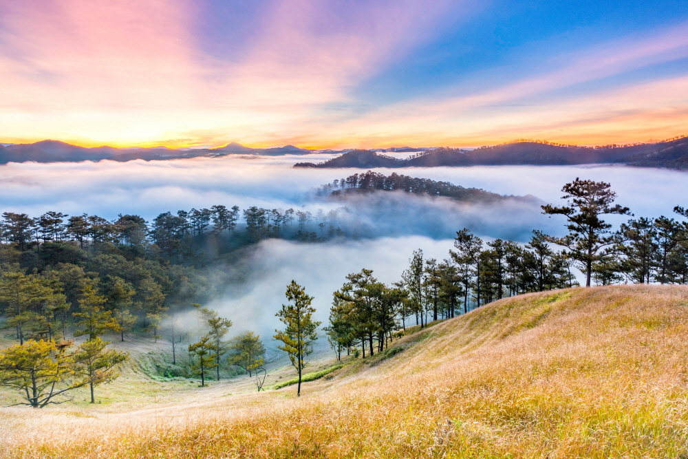 (한진관광 제공)