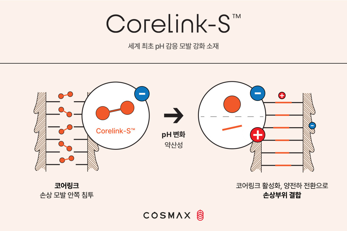 ▲코스맥스 코어링크 (사진제공=코스맥스)