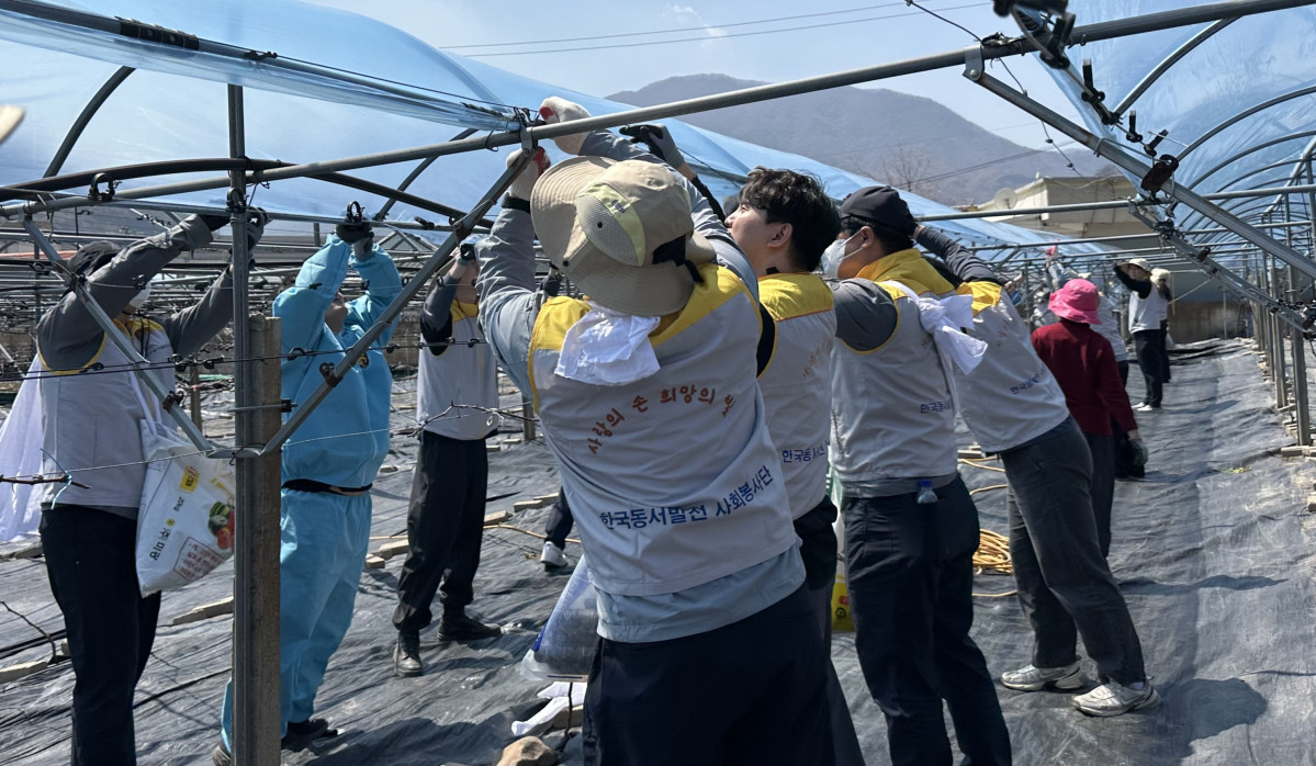 ▲한국동서발전 사회봉사단이 7일 풍력발전 사업지인 경북 영덕군을 찾아 산불 피해 농가의 비닐하우스 철거 및 복구를 돕고 있다. (사진제공=한국동서발전)