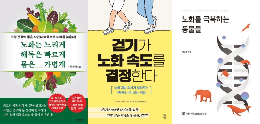 ▲올해 '노화' 관련 키워드로 출간된 책만 20종이 넘는다. 출간된 책들은 이너뷰티·저속노화·자기관리 등 건강한 라이프 스타일을 추구하는 방법 등을 이야기하고 있다.