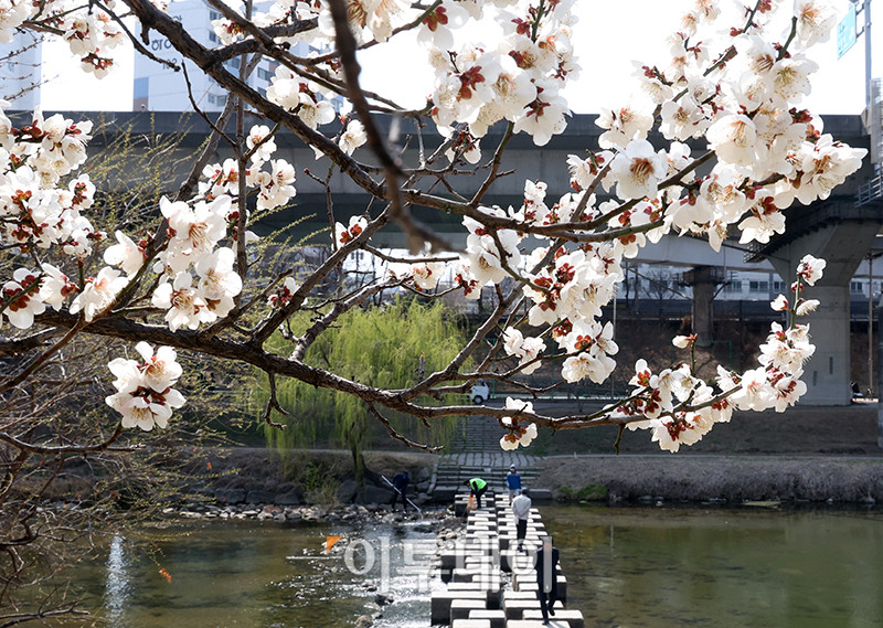 (신태현 기자 holjjak@)