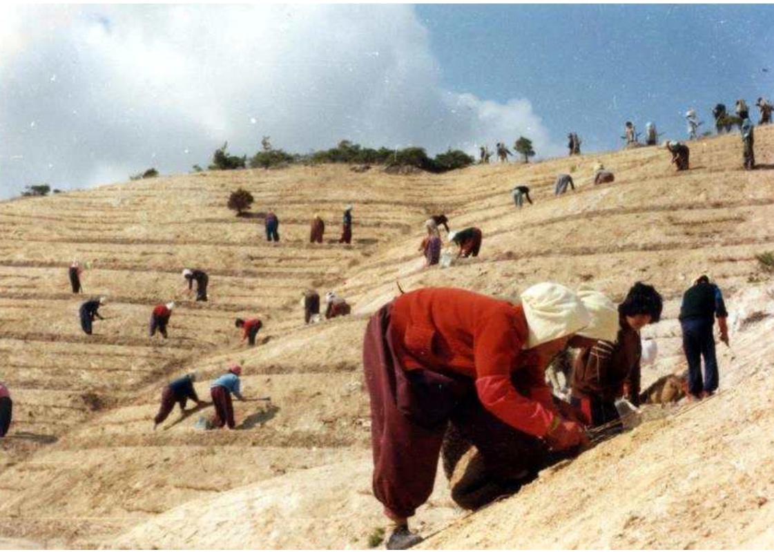 ▲ 산림녹화기록물 (사진 제공 = 국가유산청)