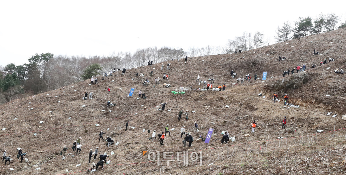 ▲유한킴벌리 ‘우리강산 푸르게 푸르게 ‘2025 신혼부부 나무심기’ 행사가 12일 강원도 인제 자작나무숲에서 열렸다. 신혼부부 100쌍과 임직원 등 300명이 은행나무 4,500 그루를 심었다. 사진제공=유한킴벌리