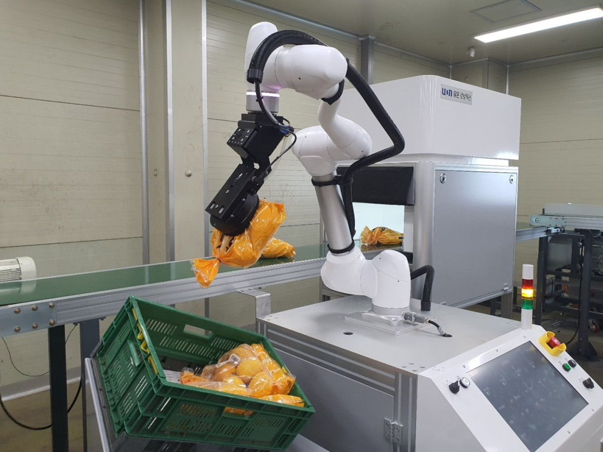 ▲성주월항농협APC에 설치된 유온로보틱스의 AI 로봇 자동 포장 시스템 (사진=시선AI)