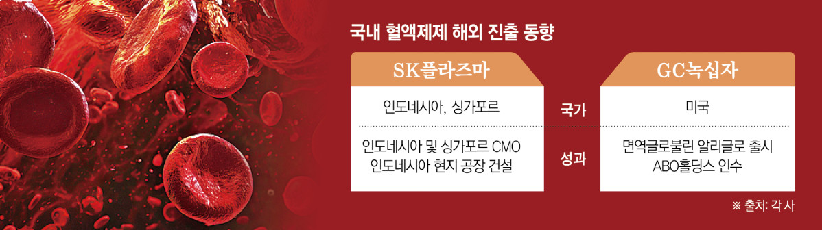 (그래픽=신미영 기자 win8226@)