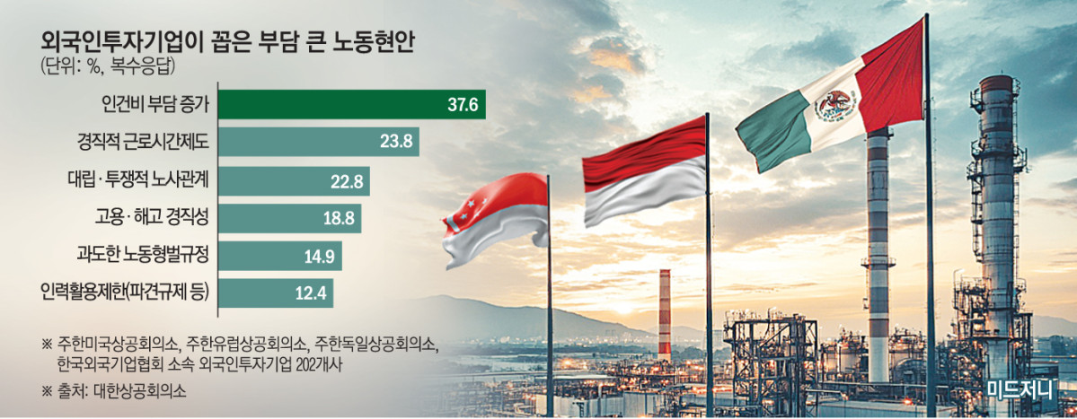 ▲그래픽=손미경 기자 sssmk@