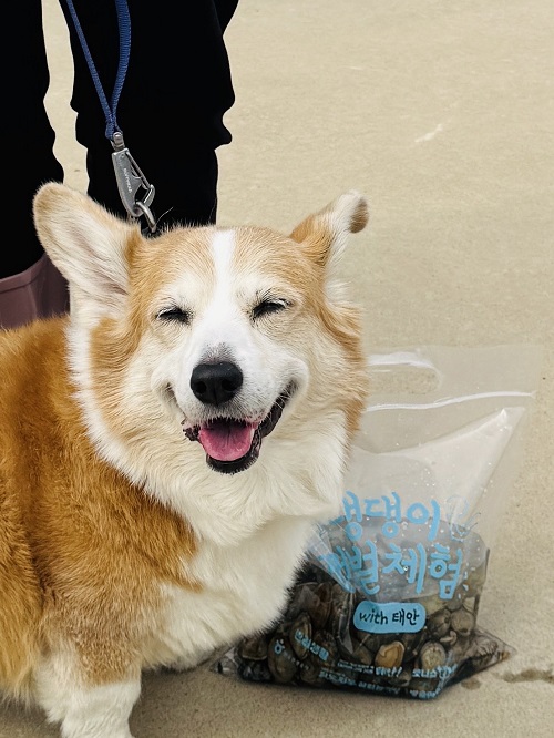 ▲사진: 현장 체험사진