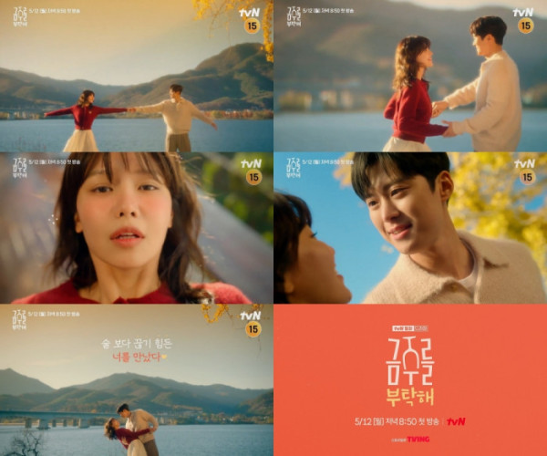 ▲금주를 부탁해(사진제공=tvN)