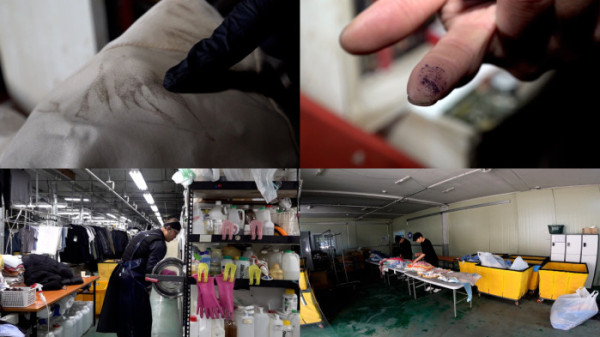 ▲'극한직업' (사진제공=EBS1 )