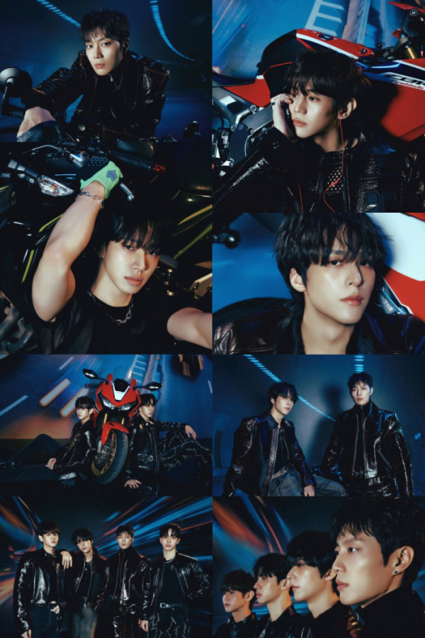 ▲하이라이트 (사진 = 어라운드어스 제공)