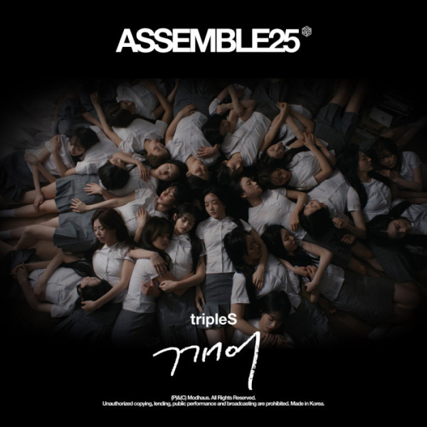 ▲트리플에스 어셈블 25(사진=모드하우스 제공)