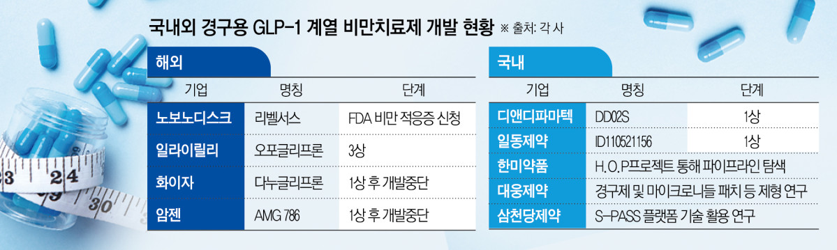 (그래픽=신미영 기자 win8226@)