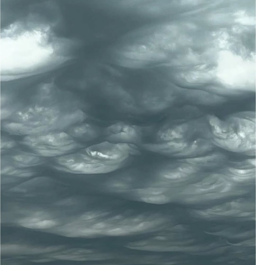 (출처=X, 인스타그램 캡처)