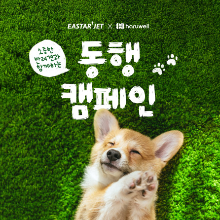 ▲이스타항공이 반려견 동반 탑승객 대상 '산책 파우치'를 증정하는 이벤트를 진행한다. (사진=이스타항공)
