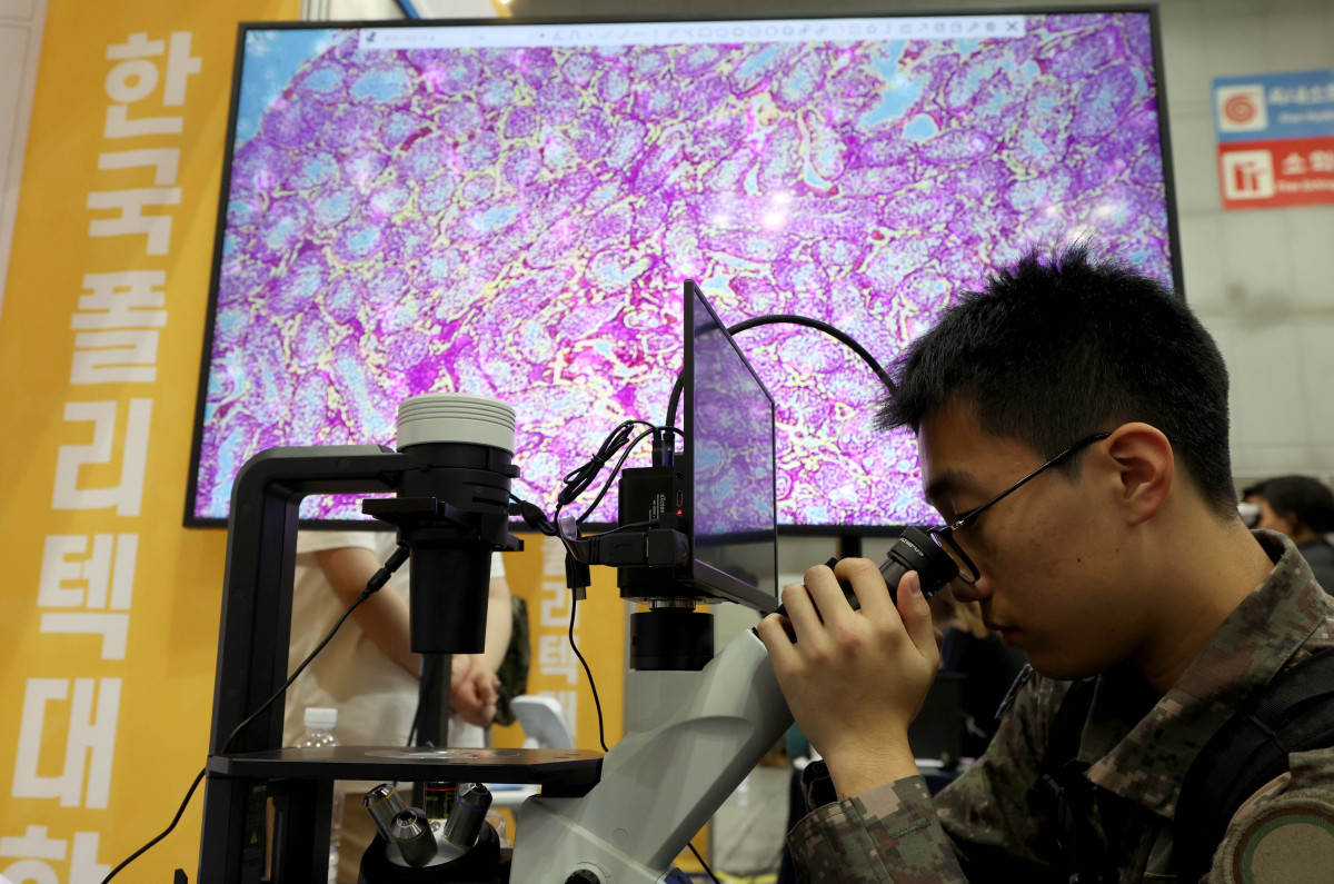 ▲7일 경기 고양시 킨텍스에서 열린 ‘2025년 국군장병 취업박람회’를 찾은 장병들이 한국폴리텍대학 부스에서 현미경으로 세포를 살펴보고 있다. 8일까지 열리는 이번 박람회엔 포스코, 현대로템, 한화 에어로 스페이스 등 150여개 기업 및 기관이 참가한다. 국방부는 군 복무로 인한 장병들의 경력단절을 극복하고 전역장병들의 안정적인 사회진출을 지원하기 위해 1996년부터 매년 국군장병 취업박람회를 개최하고 있다. 신태현 기자 holjjak@