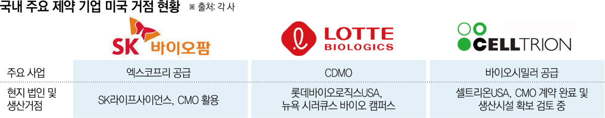 (그래픽=신미영 기자 win8226@)